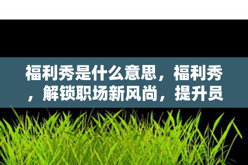 福利秀是什么意思，福利秀，解锁职场新风尚，提升员工幸福感