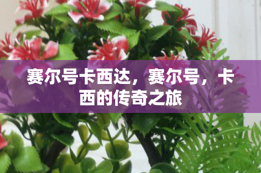 赛尔号卡西达,赛尔号,卡西的传奇之旅 赛尔号卡西达,赛尔号,卡西的传奇之旅