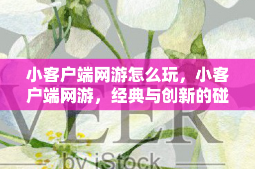 小客户端网游怎么玩，小客户端网游，经典与创新的碰撞
