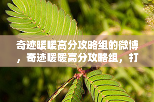 奇迹暖暖高分攻略组的微博,奇迹暖暖高分攻略组,打造时尚巅峰的秘诀 奇迹暖暖高分攻略组的微博,奇迹暖暖高分攻略组,打造时尚巅峰的秘诀