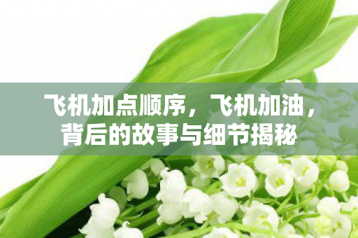 飞机加点顺序，飞机加油，背后的故事与细节揭秘
