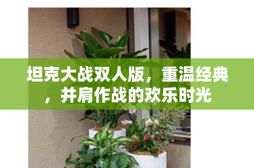 坦克大战双人版，重温经典，并肩作战的欢乐时光