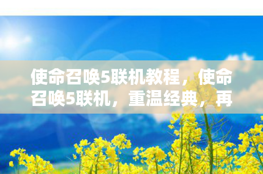 使命召唤5联机教程，使命召唤5联机，重温经典，再战沙场