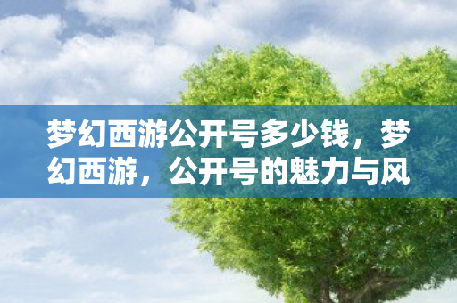 梦幻西游公开号多少钱,梦幻西游,公开号的魅力与风险 梦幻西游公开号多少钱,梦幻西游,公开号的魅力与风险