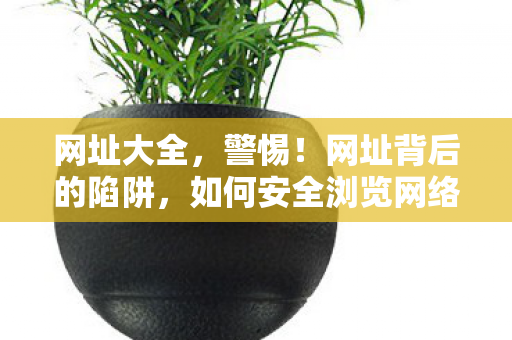 网址大全，警惕！网址背后的陷阱，如何安全浏览网络