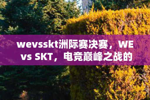 wevsskt洲际赛决赛，WE vs SKT，电竞巅峰之战的解析与启示
