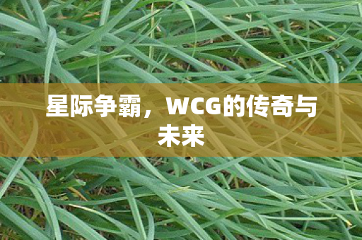 星际争霸,WCG的传奇与未来 星际争霸,WCG的传奇与未来