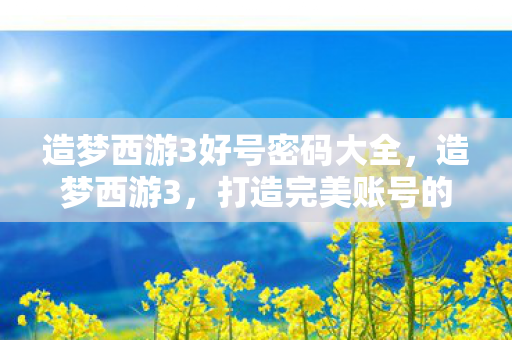 造梦西游3好号密码大全，造梦西游3，打造完美账号的攻略与心得