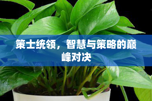 策士统领，智慧与策略的巅峰对决