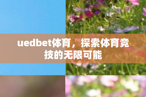 uedbet体育，探索体育竞技的无限可能