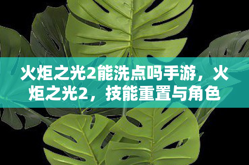 火炬之光2能洗点吗手游，火炬之光2，技能重置与角色发展