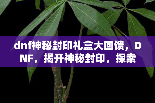 dnf神秘封印礼盒大回馈，DNF，揭开神秘封印，探索未知领域