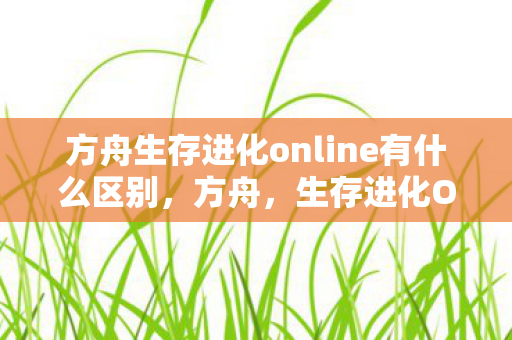 方舟生存进化online有什么区别，方舟，生存进化Online——探索未知世界的生存之旅