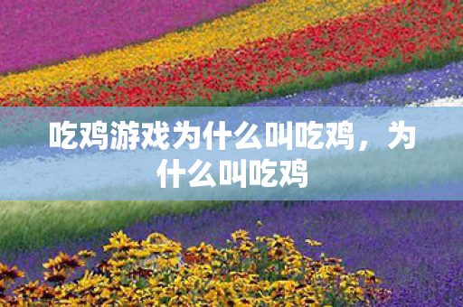 吃鸡游戏为什么叫吃鸡，为什么叫吃鸡