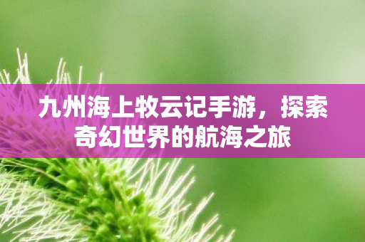 九州海上牧云记手游，探索奇幻世界的航海之旅