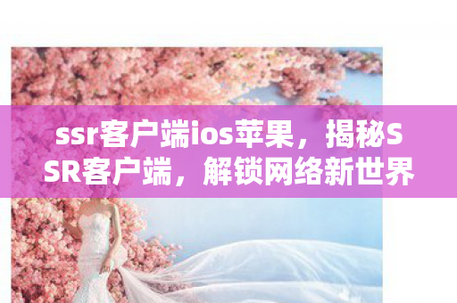 ssr客户端ios苹果，揭秘SSR客户端，解锁网络新世界的神秘钥匙