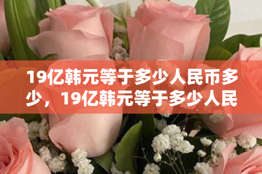 19亿韩元等于多少人民币多少图片