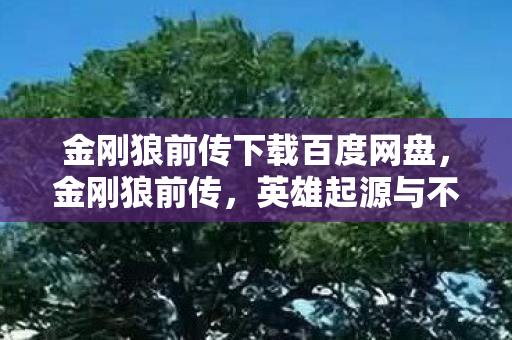 金刚狼前传下载百度网盘，金刚狼前传，英雄起源与不屈之旅下载