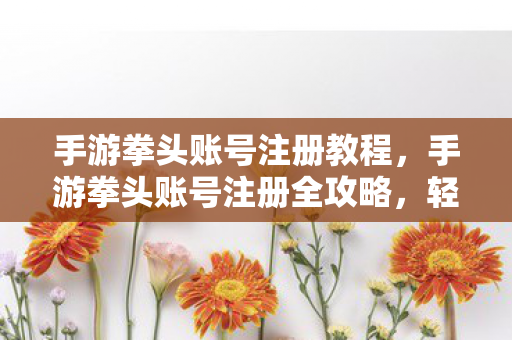手游拳头账号注册教程，手游拳头账号注册全攻略，轻松解锁游戏新世界