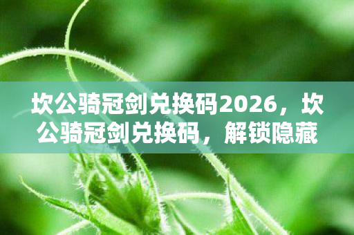 坎公骑冠剑兑换码2026图片