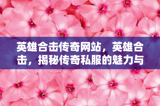英雄合击传奇网站，英雄合击，揭秘传奇私服的魅力与风险
