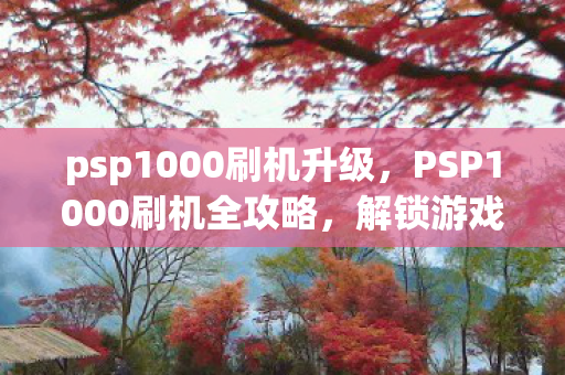 psp1000刷机升级，PSP1000刷机全攻略，解锁游戏新境界