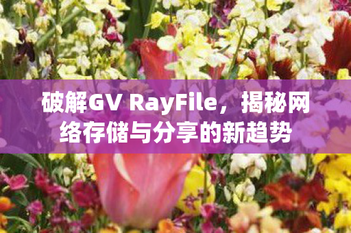 破解GV RayFile,揭秘网络存储与分享的新趋势 破解GV RayFile,揭秘网络存储与分享的新趋势