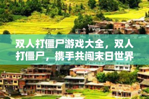 双人打僵尸游戏大全,双人打僵尸,携手共闯末日世界的生存之旅 双人打僵尸游戏大全,双人打僵尸,携手共闯末日世界的生存之旅