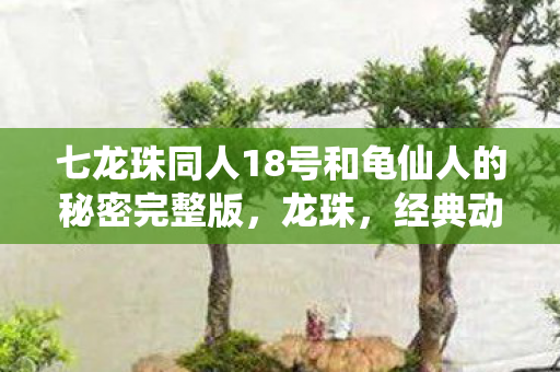 七龙珠同人18号和龟仙人的秘密完整版图片