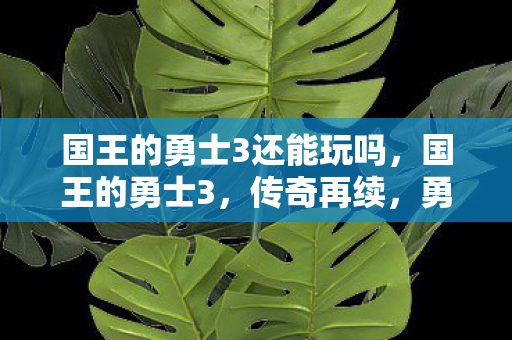 国王的勇士3还能玩吗,国王的勇士3,传奇再续,勇者之路的终极挑战 国王的勇士3还能玩吗,国王的勇士3,传奇再续,勇者之路的终极挑战