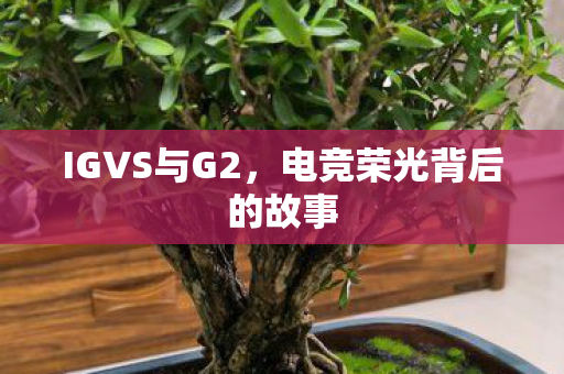 IGVS与G2，电竞荣光背后的故事