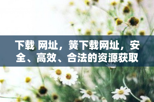 下载 网址，簧下载网址，安全、高效、合法的资源获取方式