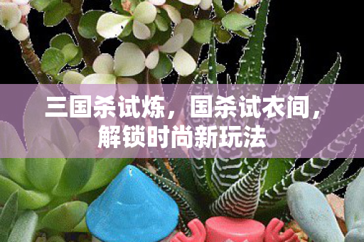 三国杀试炼，国杀试衣间，解锁时尚新玩法