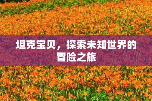 坦克宝贝，探索未知世界的冒险之旅