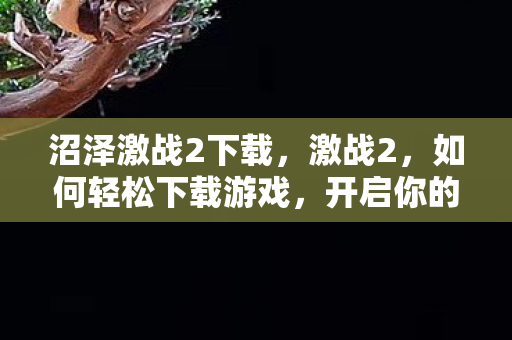 沼泽激战2下载，激战2，如何轻松下载游戏，开启你的冒险之旅