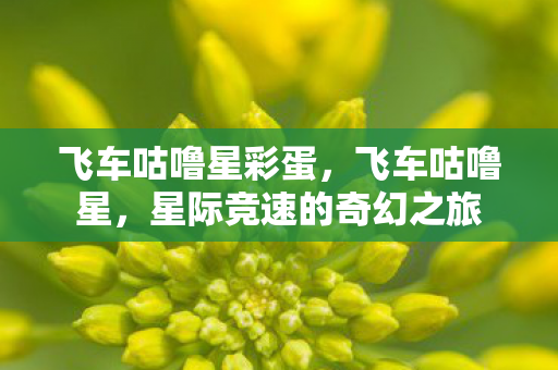 飞车咕噜星彩蛋，飞车咕噜星，星际竞速的奇幻之旅