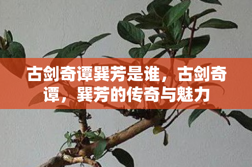 古剑奇谭巽芳是谁，古剑奇谭，巽芳的传奇与魅力