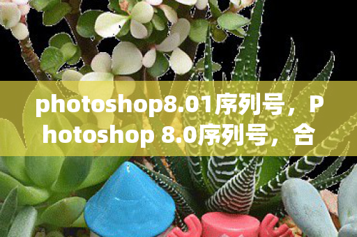 photoshop8.01序列号，Photoshop 8.0序列号，合法使用，尊重版权