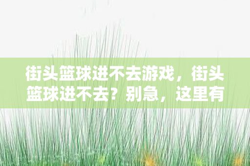街头篮球进不去游戏，街头篮球进不去？别急，这里有解决办法！