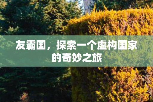 友霸国，探索一个虚构国家的奇妙之旅