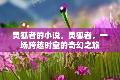 灵狐者的小说，灵狐者，一场跨越时空的奇幻之旅