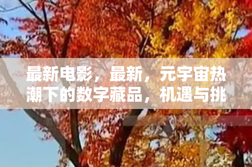 最新电影,最新,元宇宙热潮下的数字藏品,机遇与挑战并存 最新电影,最新,元宇宙热潮下的数字藏品,机遇与挑战并存