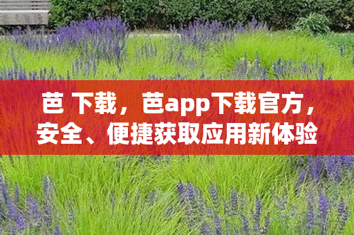 芭 下载，芭app下载官方，安全、便捷获取应用新体验