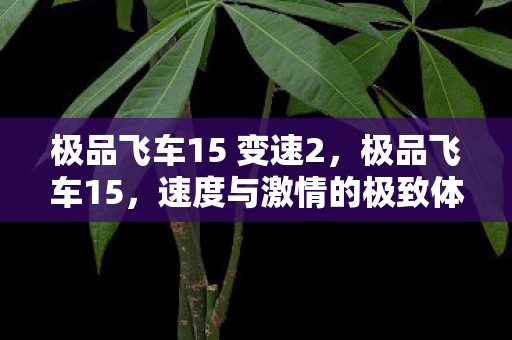 极品飞车15 变速2，极品飞车15，速度与激情的极致体验