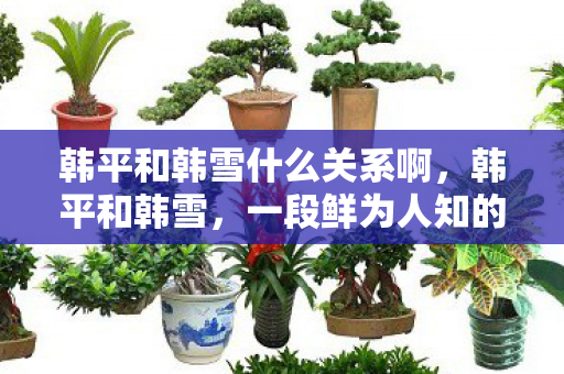 一段鲜为人知的家族故事图片