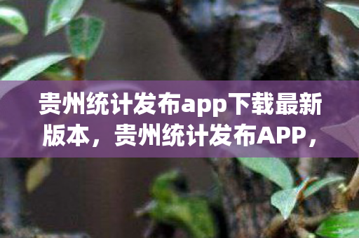 贵州统计发布app下载最新版本，贵州统计发布APP，数据在手，洞察未来
