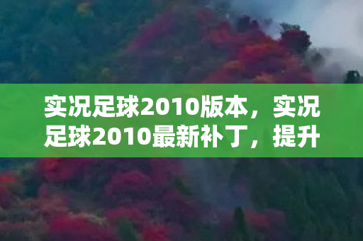 实况足球2010版本,实况足球2010最新补丁,提升游戏体验的必备利器 实况足球2010版本,实况足球2010最新补丁,提升游戏体验的必备利器