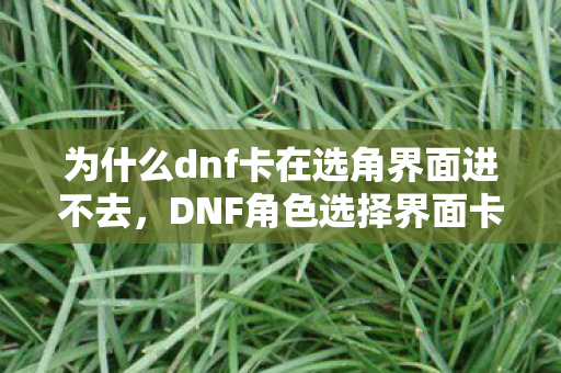 为什么dnf卡在选角界面进不去，DNF角色选择界面卡顿问题解决方案