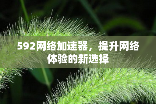 592网络加速器，提升网络体验的新选择