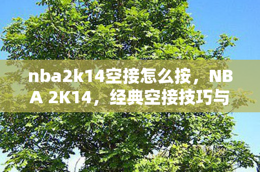 nba2k14空接怎么按，NBA 2K14，经典空接技巧与战术解析